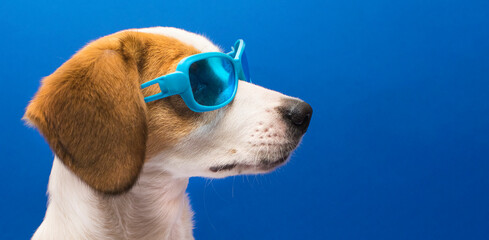 gafas azules