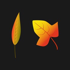 Vector color illustration. Autumn leaves. Abstract vector illustration banner. Autumn nature. Light banner. Golden color. Autumn leaf for banner design. Autumn leaves. Isolated vector illustration