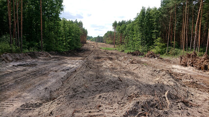 Przygotowanie terenu pod budowę nowej drogi - wylesianie. - obrazy, fototapety, plakaty