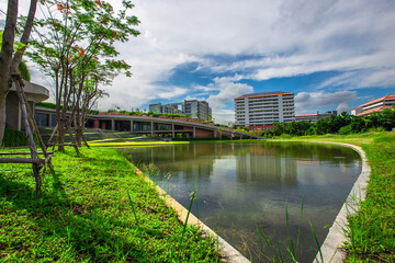 Natural background in the park with many kinds of plants, large stones, allow tourists to stop and take photos while traveling, the beauty of the ecosystem