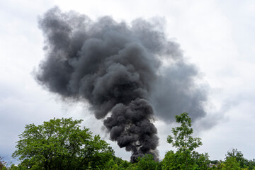 Riesige Rauchwolke am Horizont von einem Großbrand