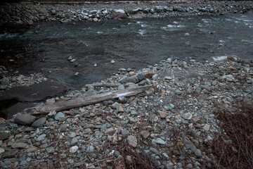 Mountain stream (Russia, Sochi)