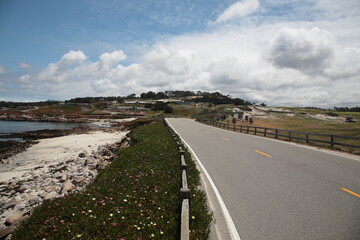 View of scenic road 17 Mile Drive  through Pacific Grove and Pebble Beach in Monterey, California