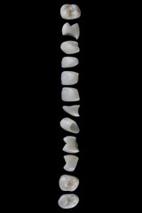 high quality dental veneers of ceramic crowns, shot from above on a black background