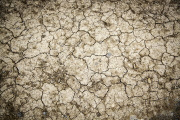 Dry and cracked earth
