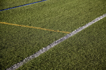 White lines on a soccer field