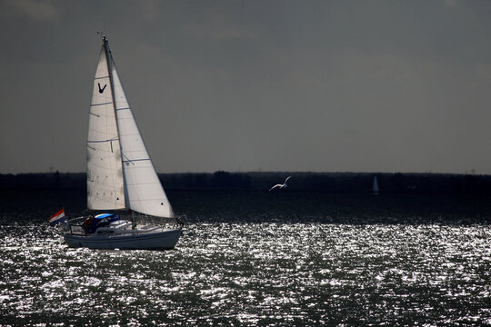 The Netherlands, North Holland, Marken, sailing boat