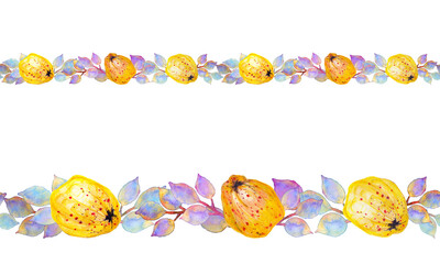 Quince fruits, apple quince and leaves repeat border on white background. Watercolor,  pencils color, mixed media art. Design for announcements, postcards,  invitations, cafe, home decor.