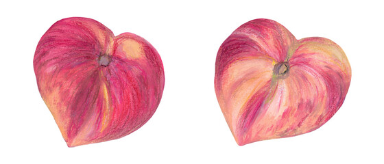 Fototapeta premium Flat peaches mixed media drawing. Colorful isolated fruits in realistic style on white background.