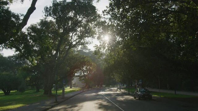 driving through the park