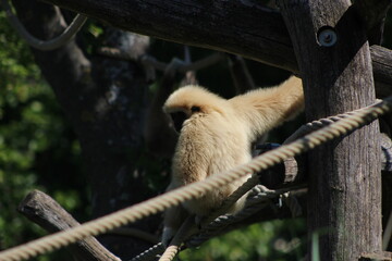 Animal and nature photos from the Schoenbrunn Zoo in Vienna
