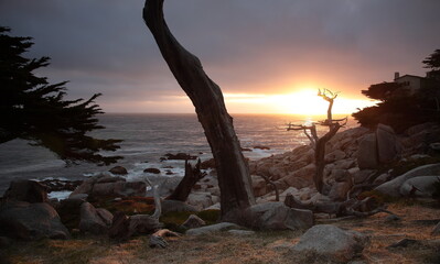 Landscape of Pescadero Point with ghost trees during sunset along 17 Mile Drive in the coast of Pebble Beach, California