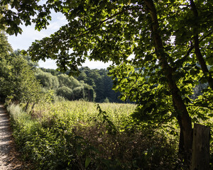 Fototapeta premium View to tjhe wildlife sanctuary Hahnheide