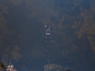 Obraz premium Top down view of a broken wood jetty in the lake.