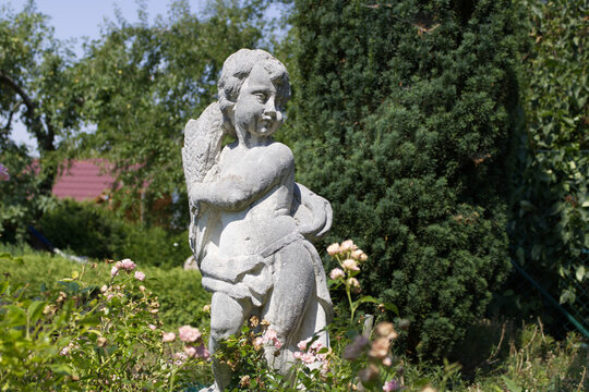 Engel Statue Stein Sommer Garten Rose Natur