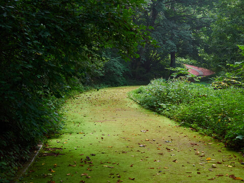「烏川渓谷緑地」の写真素材 45件の無料イラスト画像 Adobe Stock