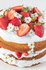 Strawberry cake, strawberry sponge cake with fresh strawberries and sour cream on a white background