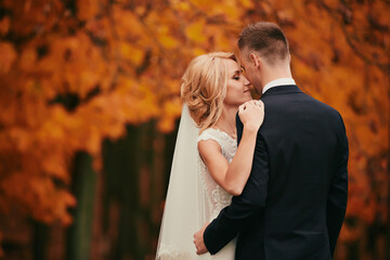 portrait of Happy young married couple in golden yellow fall autumn park. beautiful bride and stylish groom hugging in wedding day
