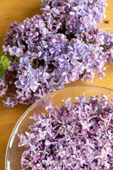 Fototapeta premium Lilac flower blossom petals