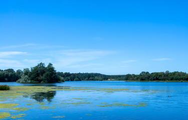 Natural landscape view of lake and green forest with clear blue sky reflection on water in sunny day spring. Beautiful and peaceful view by the lake on summer at countryside in north yorkshire, UK