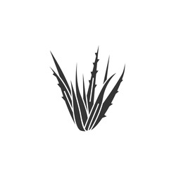Aloe plant black glyph icon. Plant that used both internally and externally on humans as folk or alternative medicine. Pictogram for web page, mobile app, promo