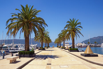 Fototapeta na wymiar View of yacht marina of Porto Montenegro on sunny summer day. Montenegro, Tivat city