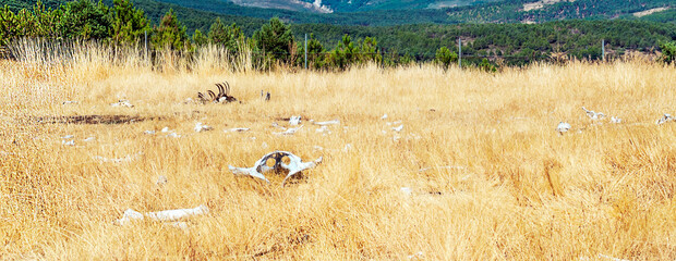 Mountains in the natural park of Monfrague