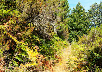 Mountains in the natural park of Monfrague