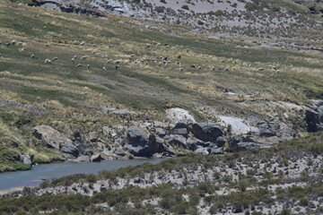 the Andean plateau Altiplano 42