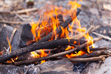 Campfire in the mountains. Close up hot Campfire