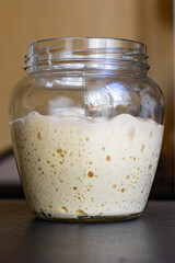 dough starter yeast raw for baking natural product ingredient organic eating healthy top view place for text copy space 