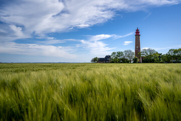 Der Leuchtturm Flügge auf Fehmarn an der Ostsee im Sommer. Urlaub in Deutschland an der Küste.