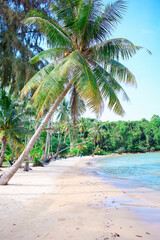 Fototapeta na wymiar White sand beach with coconut trees