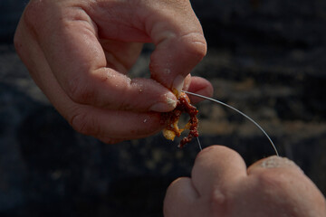 Pescador colocando un gusano como cebo en el anzuelo para pescar.