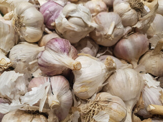 organic garlic in the store. natural, ecological garlic close-up