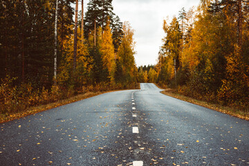 Beautiful moody scene of highway through Autumn forest.