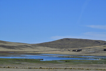 lakes in the high Altiplano of the Peruvian Andes- the Colca Valley 45