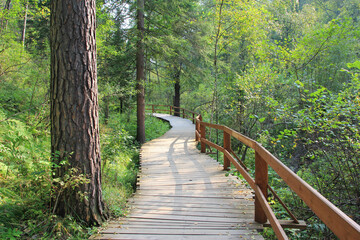 A pedestrian path in the Krasnoyarskie Stolby National Park. Russia. Krasnoyarsk