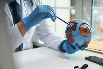 Medical worker explaining eye anatomy on an eyeball replica