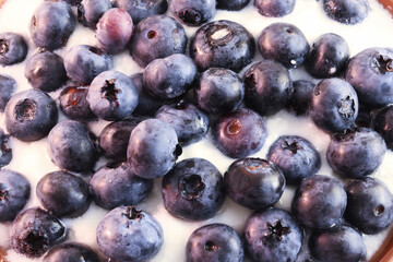 Closeup of blueberries in white yogurt