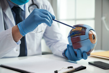 Having a closer look at a human eye anatomy