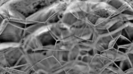 Multi-colored spots and lines. Blurred defocused background.