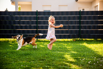 Baby girl running with beagle dog in garden on summer day. Domestic animal with children concept.