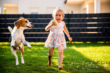 Baby girl running with beagle dog in garden on summer day. Domestic animal with children concept.