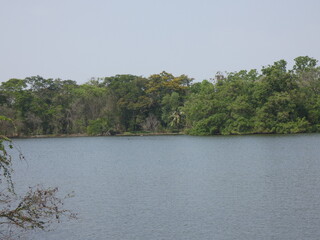 Water and trees in the park