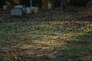 sunrise in the morning at autumn camp