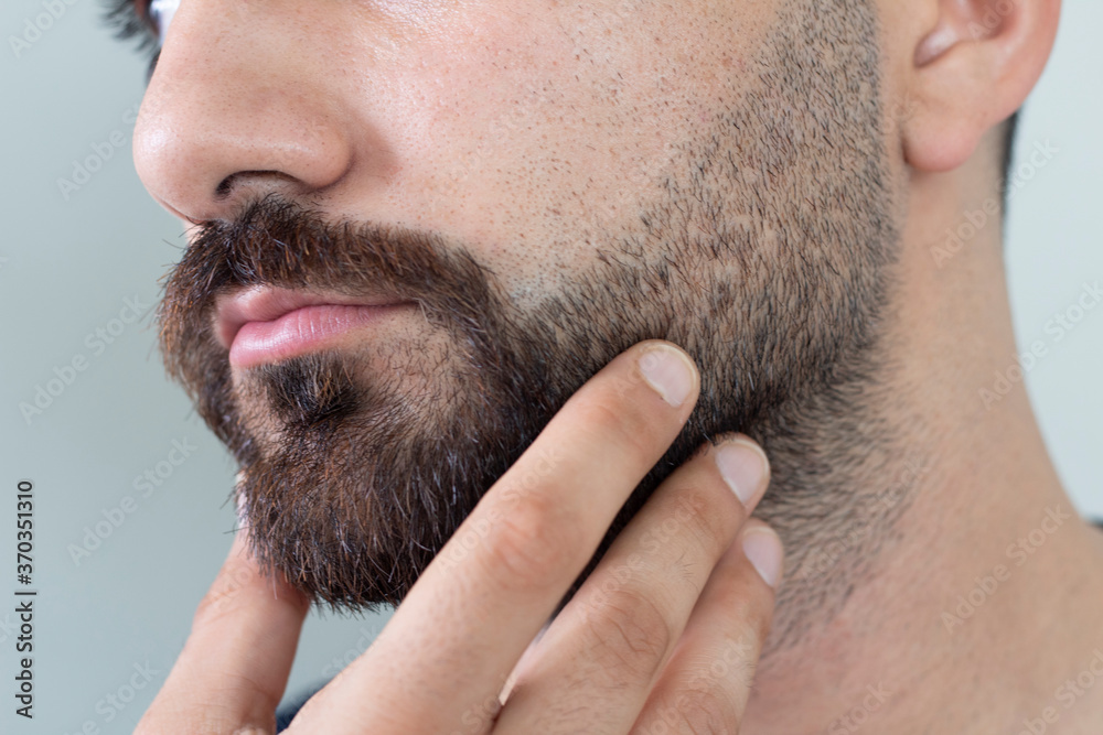 Wall mural Close up of young bearded man touching his beard while standing against gray background