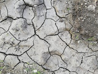 The dry and cracked soil