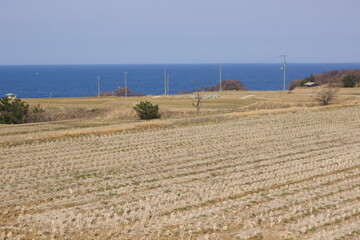 日本の田舎の島の田園風景