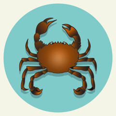 Crab Design vector illustration with blue background